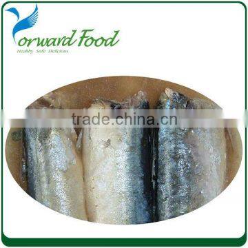 chinese canned mackerel fish wholesale food distributors