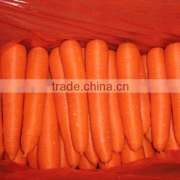 Sell 2013 New Crop Fresh Carrot