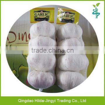 Fresh garlic, garlic price in china 2015