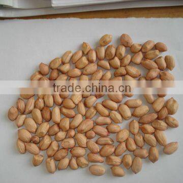 agricultural products exporter& peanut