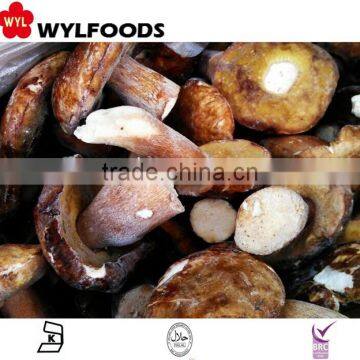 Frozen IQF Boletus edulis whole High Quality Pollution-free Best Price