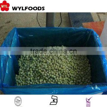 Price for Frozen Baby Broad Beans photo-4