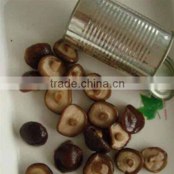 New crop canned shiitake marinated whole