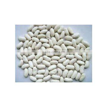 High Quality White Kidney Bean From Vietnam for Sale