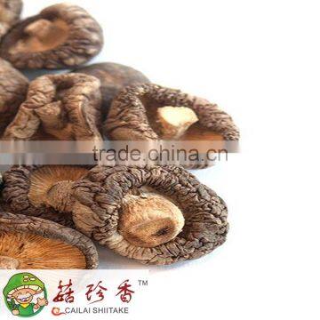 hot sales Dried shiitake mushroom from Henan