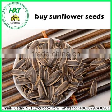 Nice quality snacks buy sunflower seeds for Human Cunsumption