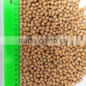 YELLOW PEAS photo-5