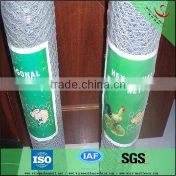 High quality poultry net hexagonal wire mesh