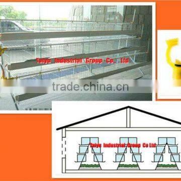 TAIYU-3 egg laying poultry cages (Full galvanized, Long durability, Anti-corrosive, Easy installation, Auto water system)