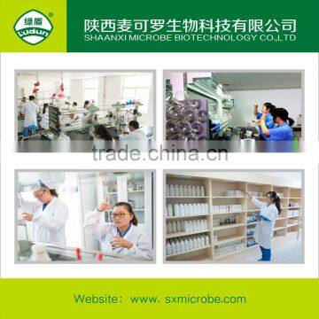 Manufacturing Company Online Shopping Polyoxin TC photo-4