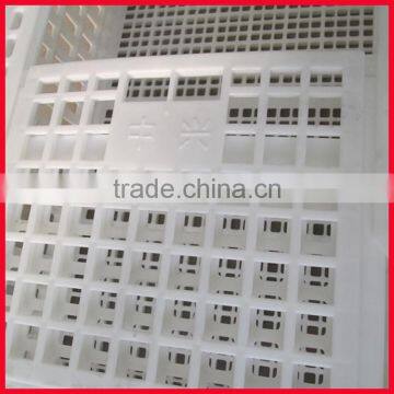 poultry transport crate/plastic poultry crate/chicken transportation cage