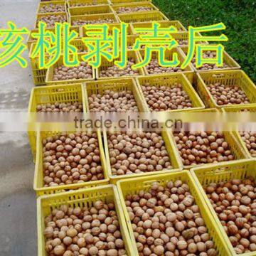 2016 New Type & Hot Sale Mutifunction Nut Peeling Machine photo-5