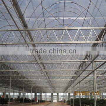 Multi-Span Agricultural Greenhouses Type and PC Shee Cover Material Agricultural Greenhouses photo-3