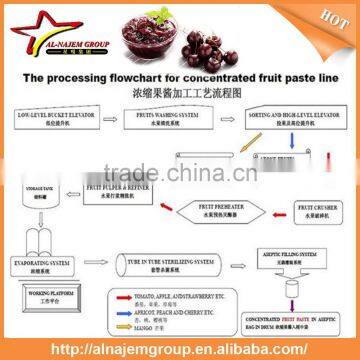 Hot Sale Full Automatic Industrial Cherry Sauce Maker Machine High Viscosity Production Line Rose Paste photo-4