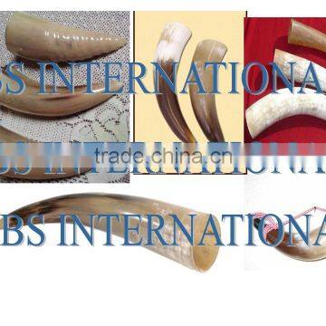Ox White Drinking Horns
