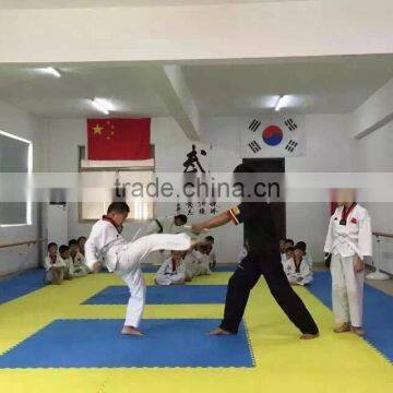 Euro Standard Good Quality Popular Sell Double Color Reversible Eva Foam Wrestling Mat photo-2