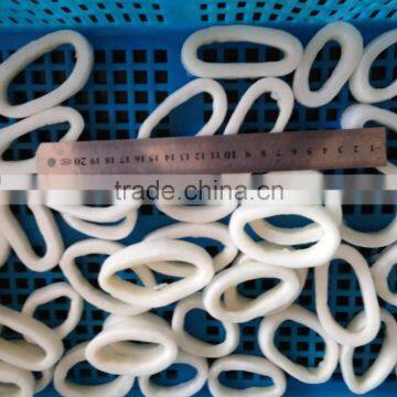 2016 Hot Sale High Quality Illex Squid Ring From China photo-2