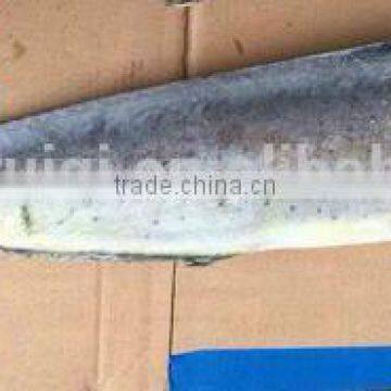 New fish whole round frozen Mahi Mahi 2-4kg