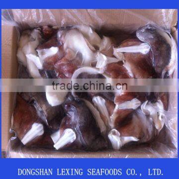 BQF Seafood Frozen Giant Squid Neck photo-2