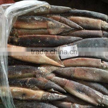 Frozen Squid(loligo Squid,frozen Fish) photo-3