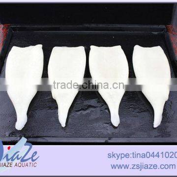 IQF Cleaned Squid Tubes U5,U7,U10-seafood photo-2