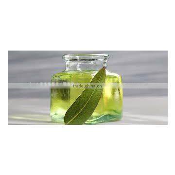 Eucalyptus Oil
