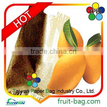 TPBI Taiwan kate mango paper bag protective waterproof cover
