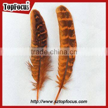 Natural Ringneck Rounds Cheap Dyed Pheasant Feathers Sale photo-2