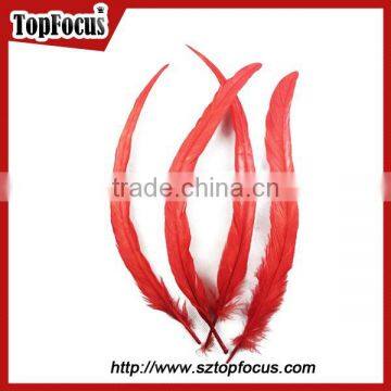 Dyed Color Big Long Natural Grizzly Rooster Feathers for Sale photo-5