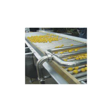 Fruit sorter