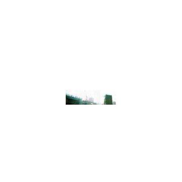 Sell Scaffolding Net
