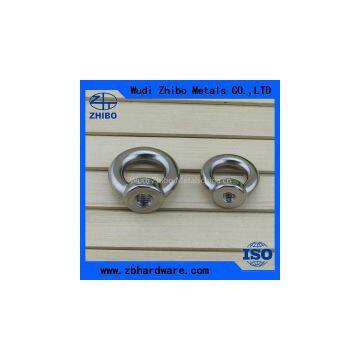 Stainless Steel Long Shank Eye Bolt