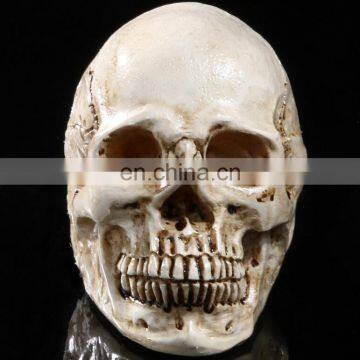 Artificial resin crafts skull heads wholesale home and holiday decoration