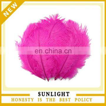 Cheap Wedding Decoration Centerpieces Ostrich Feather for Sale