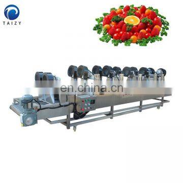 Fruit and Vegetable Cleaning Machine Fruit Washing Equipment Vegetable Bubble Washing Machine photo-4