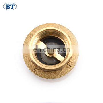 BT5011 Euro Type Brass Check Valves With Brass Stem / ss Spring photo-6