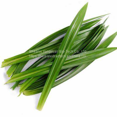 Pandan Powder, Pandan leaf Powder, Pandanus amaryllifolius leaf powder, leaf powder for food and beverage