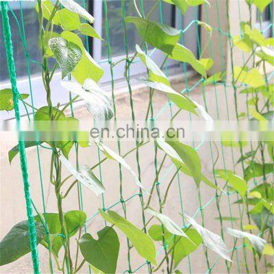 Vegetable Plastic Climbing Netting Vegetable Plants Support Net for Garden photo-2