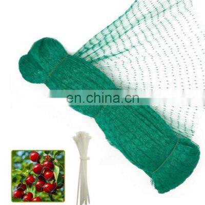 Factory Price Extruded Anti-Bird Netting Garden Bird Protection Net