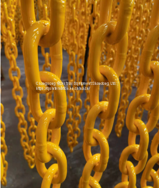 China Manufacturer OEM Rigging Hardware Grade Chains