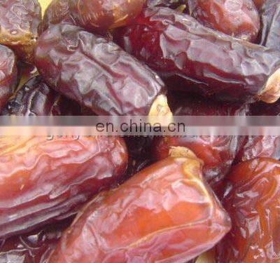 Manufacturer for Date Making Machine photo-3