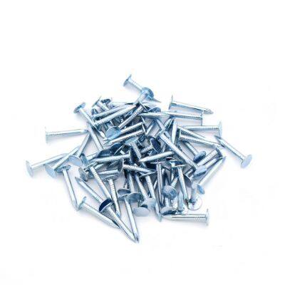 Galvanized Clout Nails With Large Flat Head for Secure Roofing Felt Installation photo-4