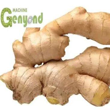 Линия обработки имбирьевого сока, Имбирьевый блендер, Линия обработки имбирьевого чая и имбирьевого порошка, Имбирьевый очиститель