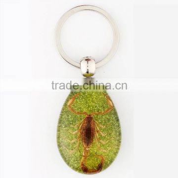 Personal design keychain with real insect