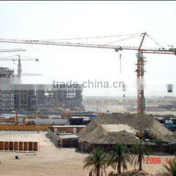 12 Tons H3/36B Tower Crane (QTZ250) with 60m jib