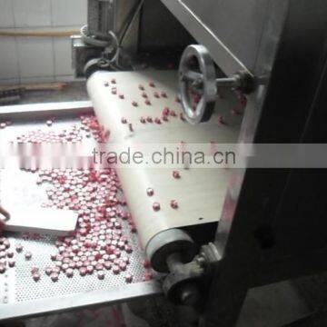 600kg Center Filled Soft Candy Depositing Line photo-4