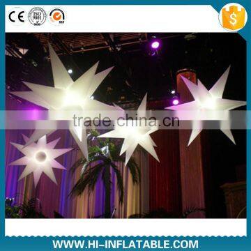 Party/event hanging decoration inflatable/catering decoration and supply