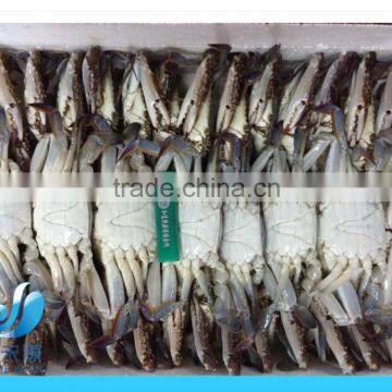 frozen blue swimming crab 100g -150g 150-200g