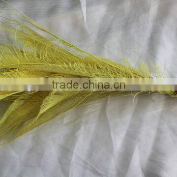 Wholesale dyed peacock feather in yellow