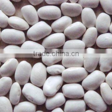 Large White Kideny Bean